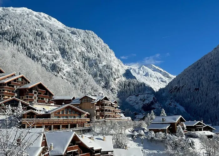 Arpette 2/4 Personnes Au Pied Des Pistes La Plagne
